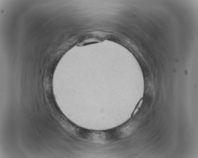 X0000086030317200704201952