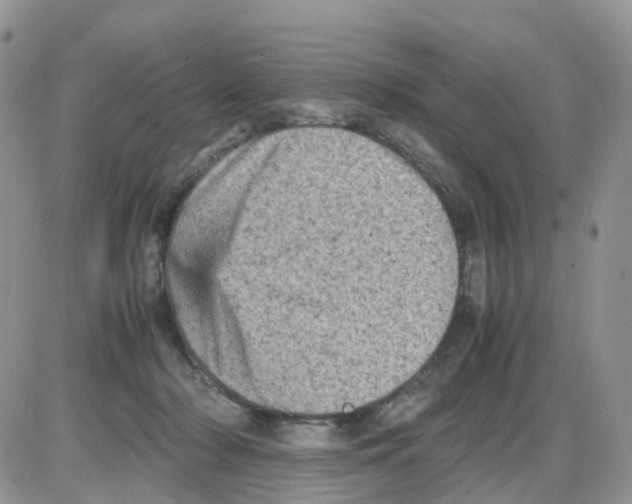 X0000086030318200704201952