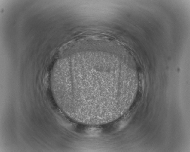 X0000086030319200704201952