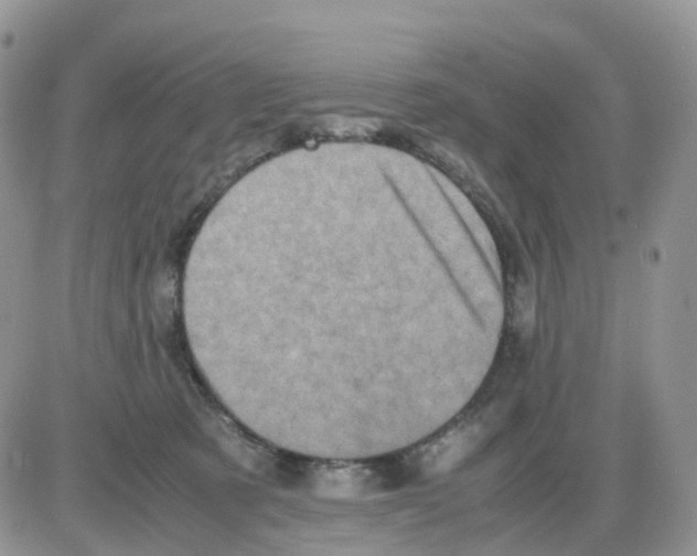 X0000086030321200704201952