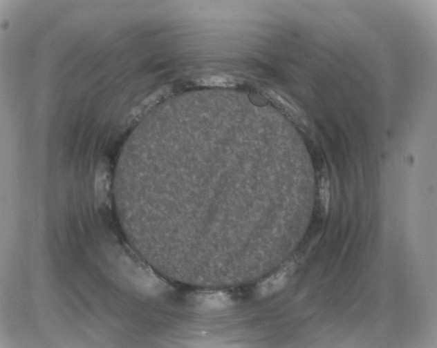 X0000086030322200704201952