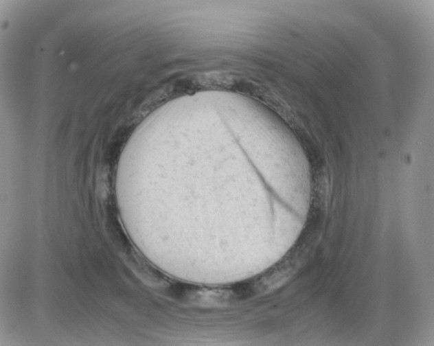 X0000086030323200704201952