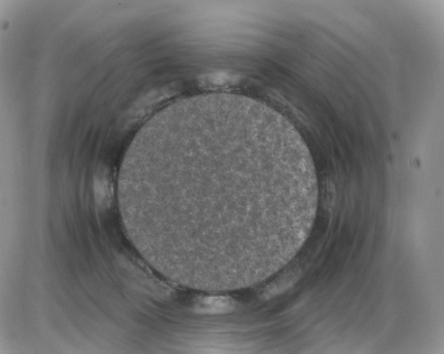 X0000086030324200704201952