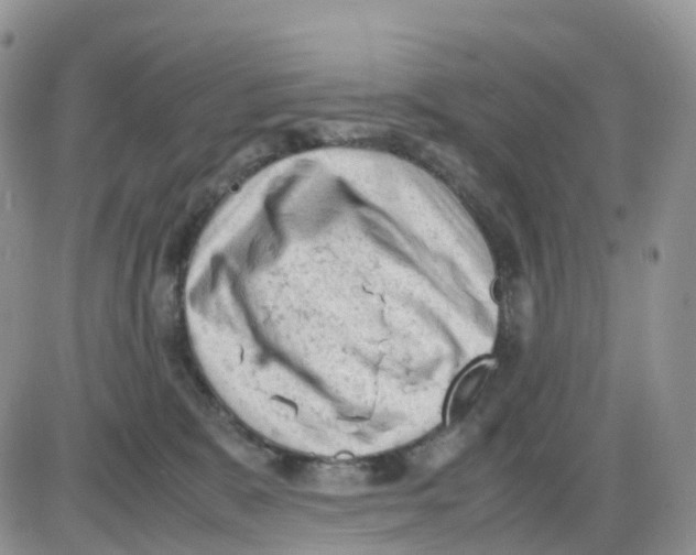 X0000086030327200704201952