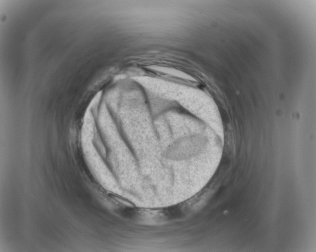 X0000086030333200704201952