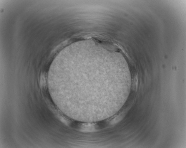 X0000086030335200704201952