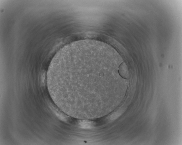 X0000086030336200704201952