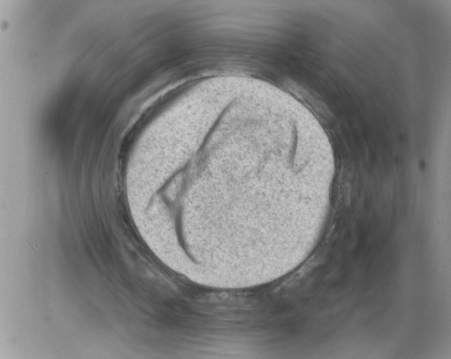 X0000086030338200704201951