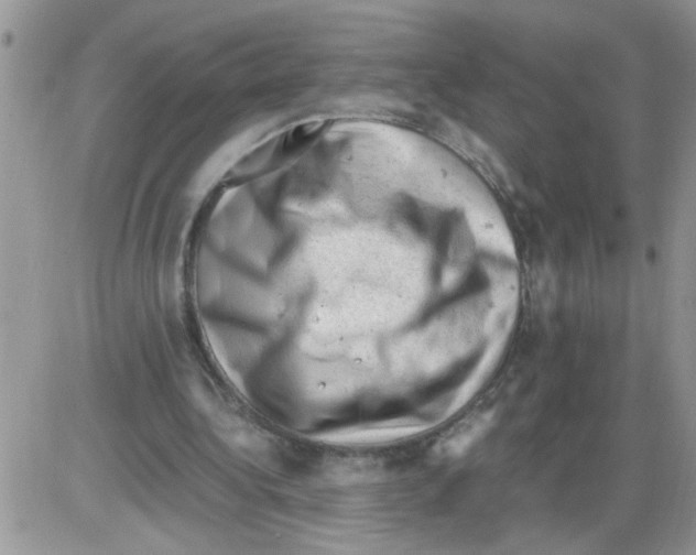 X0000086030340200704201951