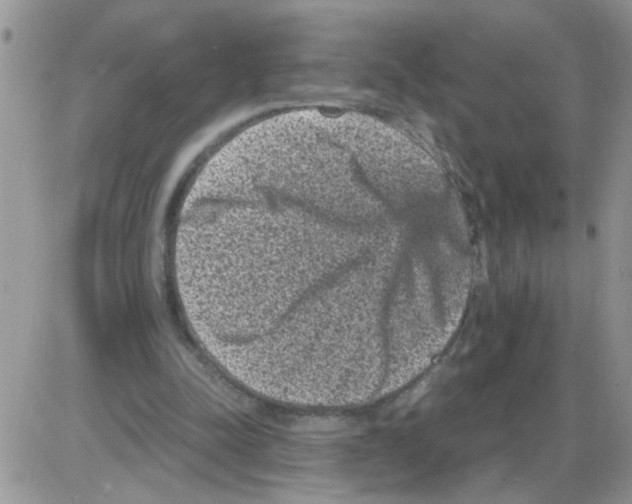 X0000086030342200704201951