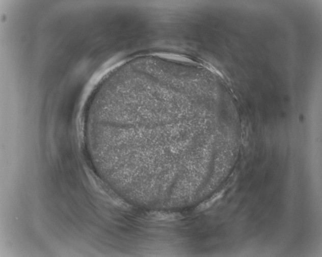 X0000086030343200704201951