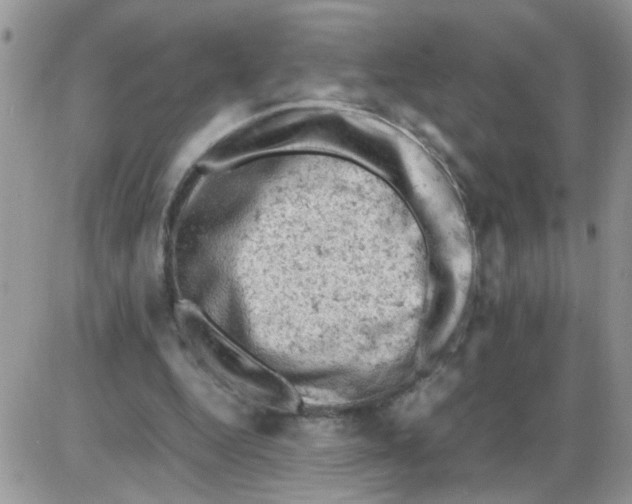 X0000086030344200704201952