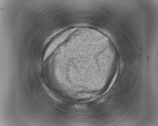 X0000086030345200704201952