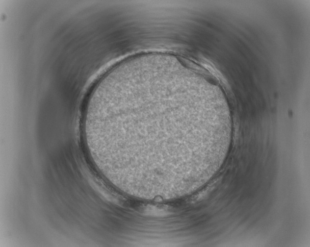 X0000086030346200704201952