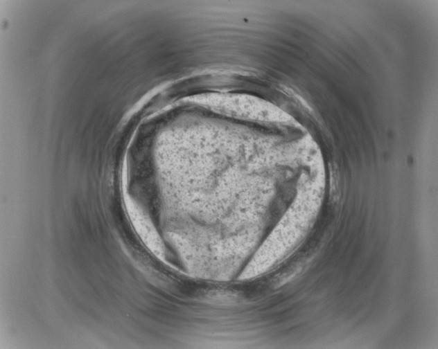 X0000086030348200704201952