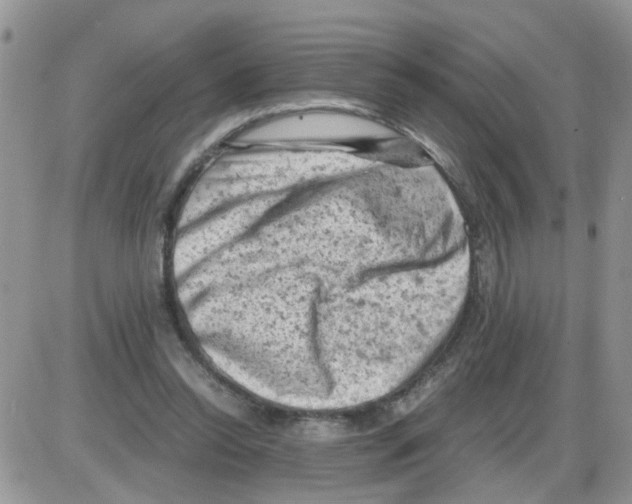 X0000086030350200704201952