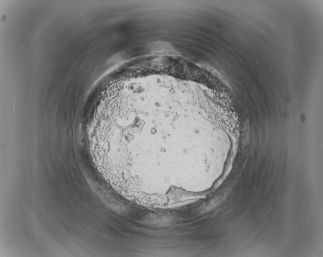 X0000086030351200704201952