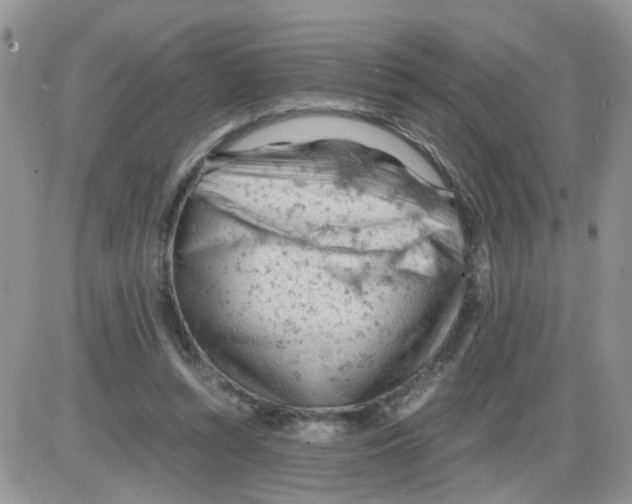 X0000086030352200704201952