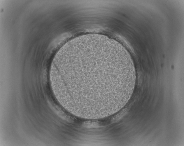 X0000086030354200704201952