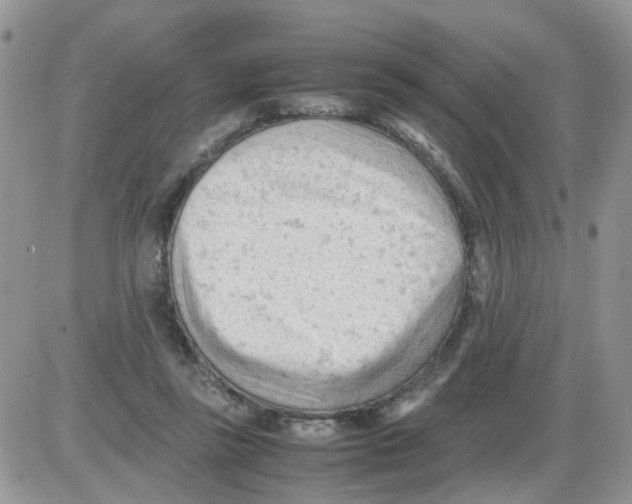 X0000086030355200704201952