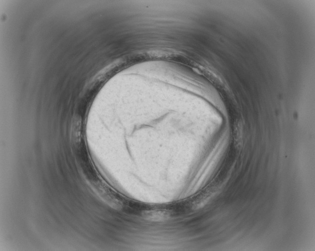 X0000086030356200704201952