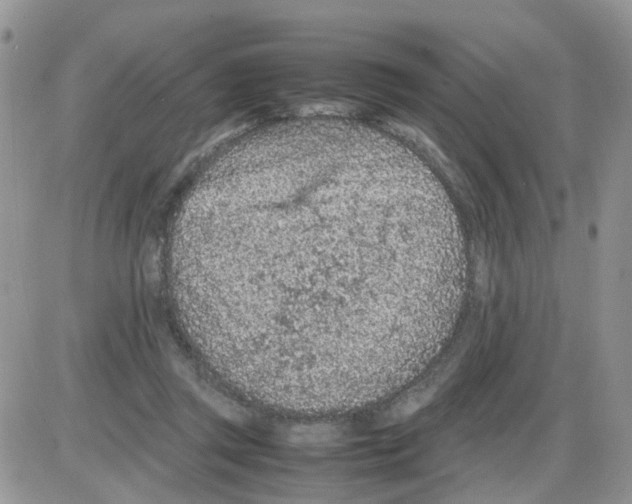 X0000086030357200704201952