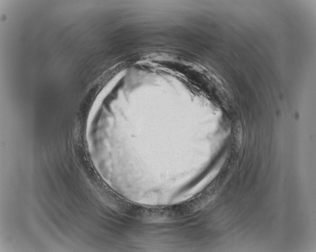 X0000086030359200704201952