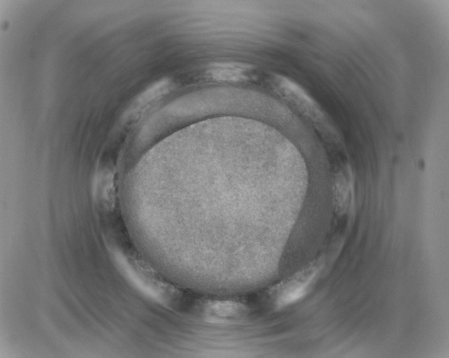 X0000086030360200704201952