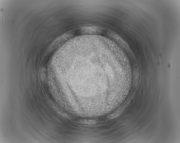 X0000086030361200704201952