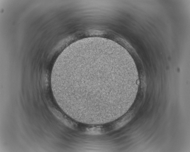 X0000086030362200704201952