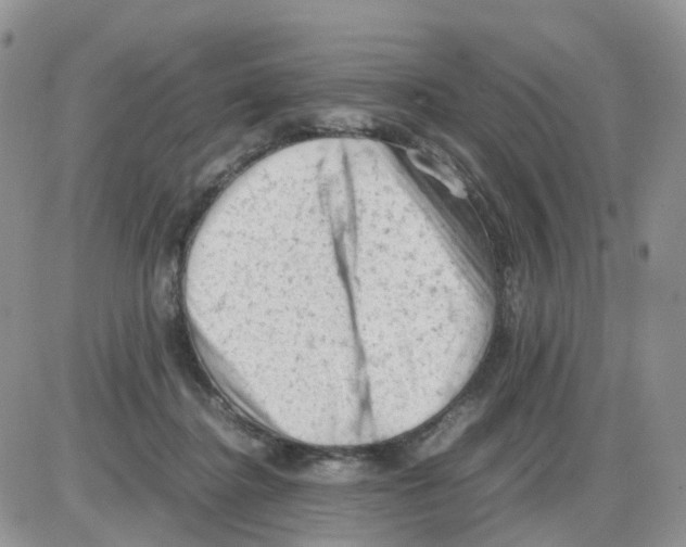 X0000086030364200704201952