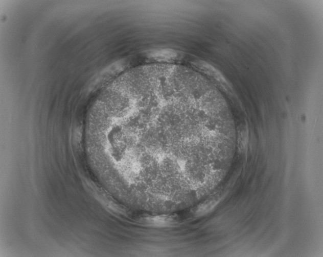 X0000086030365200704201952