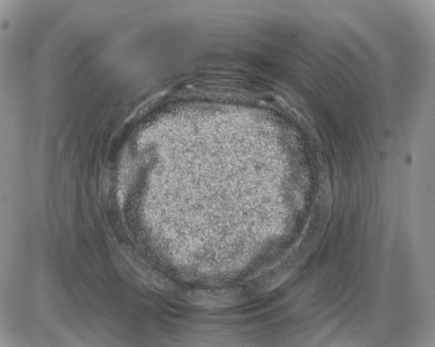 X0000086030367200704201952