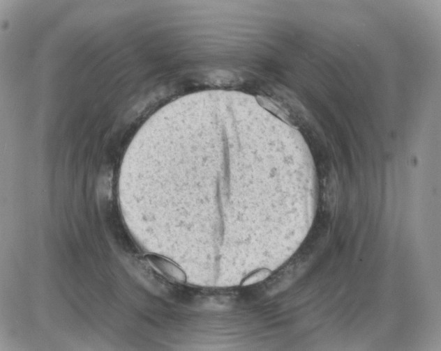 X0000086030368200704201952