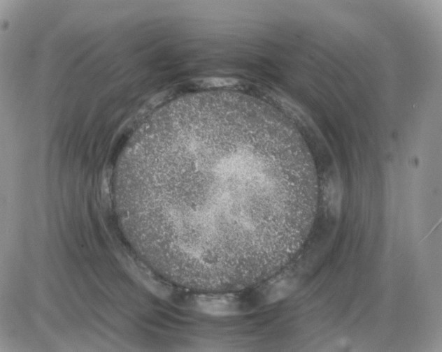 X0000086030373200704201952