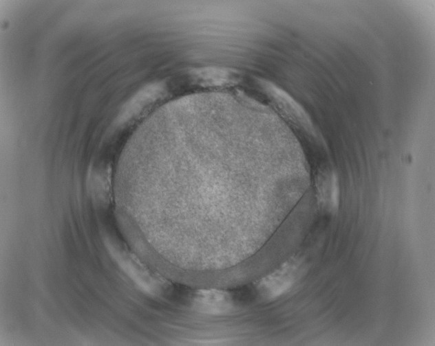 X0000086030376200704201952