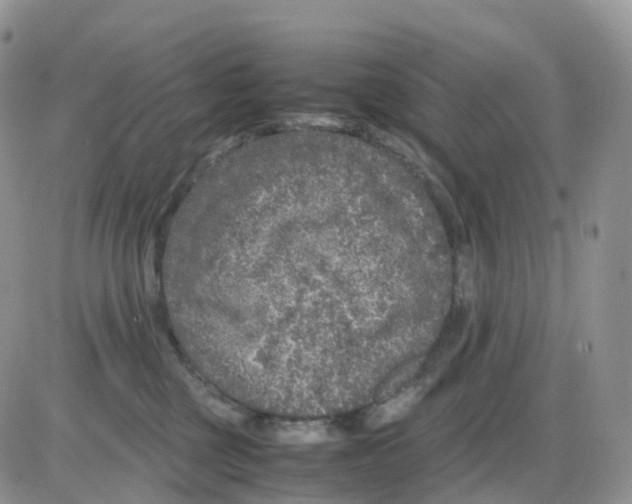 X0000086030377200704201952