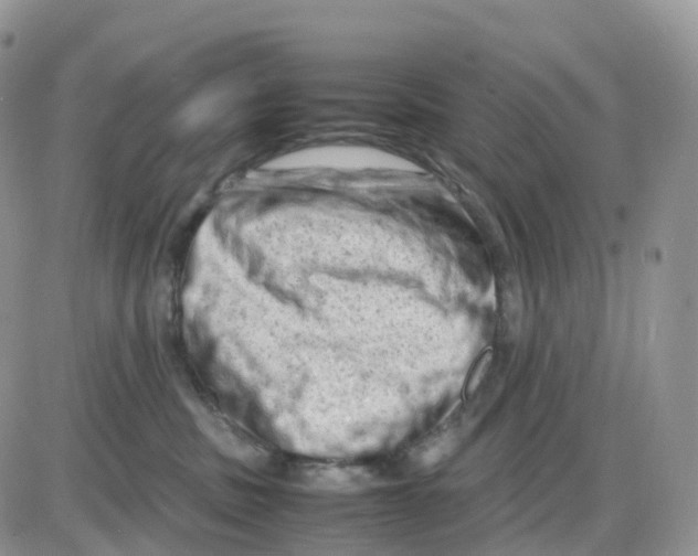 X0000086030379200704201952