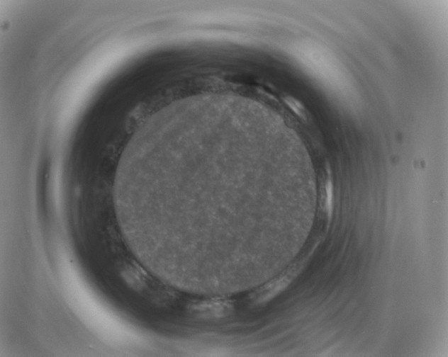 X0000086030383200704201952