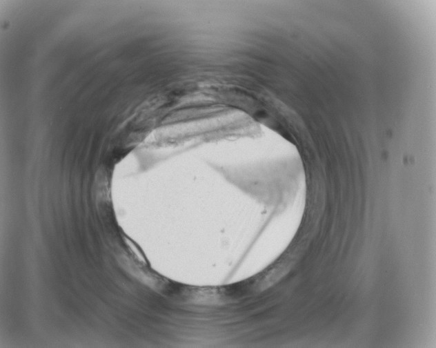 X0000086030384200704201952