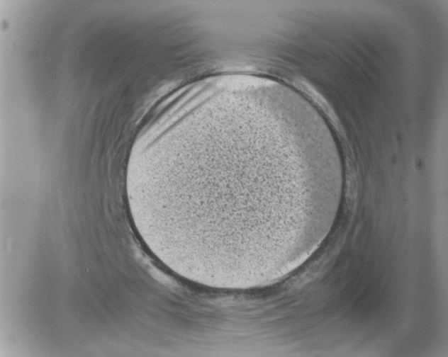 X0000086030385200704201951