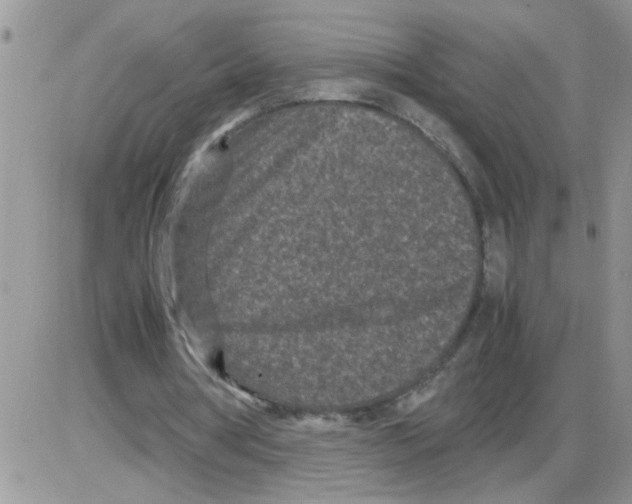 X0000086030386200704201951