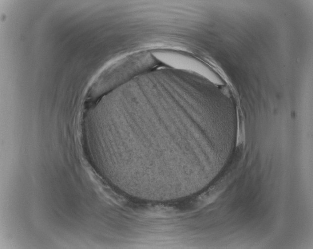 X0000086030387200704201951