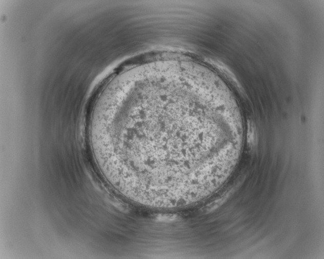 X0000086030388200704201951