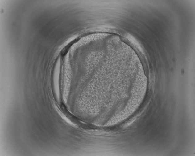 X0000086030389200704201951