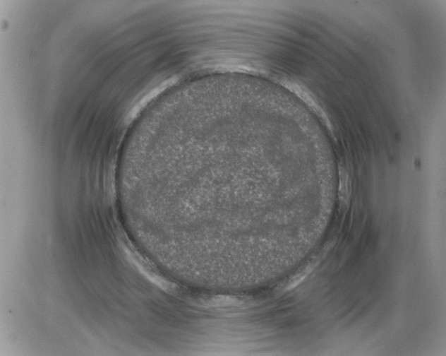 X0000086030390200704201951