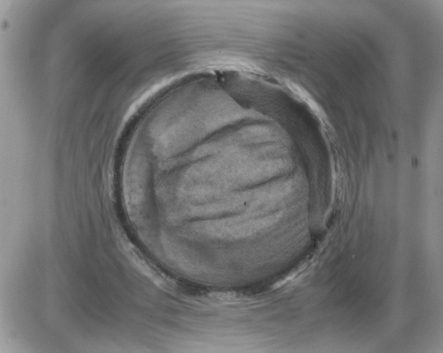 X0000086030391200704201951