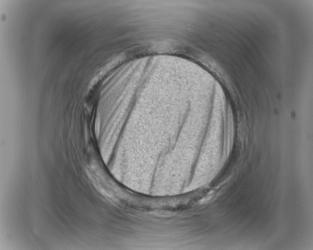 X0000086030393200704201951