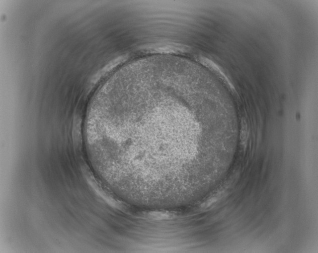 X0000086030394200704201951