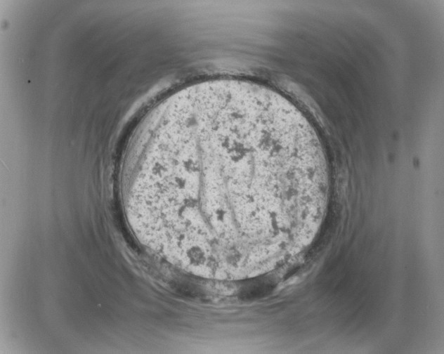 X0000086030395200704201951